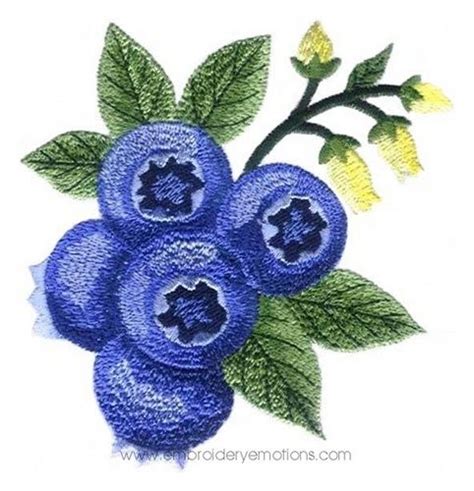 blueberry designer|blue berry collage designs.